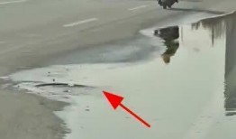 保定复兴路爆料事件视频,视频揭露惊人真相