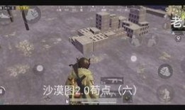 和平精英2.0最新爆料,革新战场，体验升级，揭秘全新游戏玩法与视觉盛宴