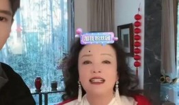 马筱梅被爆料婚内出轨视频,真相与争议