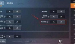 和平精英爆料最新升级枪,枪械生成系统革新揭秘