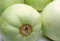 延津吃瓜最新事件爆料是真的吗,真相揭秘还是网络谣言？