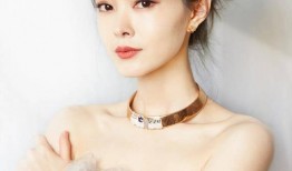 圈内小号爆料宋轶视频,圈内小号爆料背后的真相