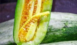 网红张千慧吃瓜视频,揭秘网红圈幕后故事