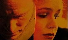 羞耻在线观看2011,2011年网络爆红剧集羞耻在线精彩回顾