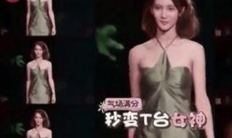 王琳团队爆料事件视频,事件背后惊人真相