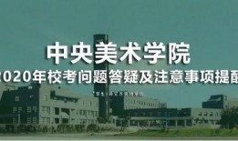 四川美术学院爆料事件视频,视频揭露惊人内幕