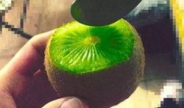 抖音网红吃瓜资源,揭秘热门事件幕后真相