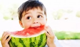 娱乐吃瓜酱梗,吃瓜酱背后的那些事儿