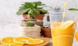 jk榨在线观看,青春校园的激情燃烧，在线观看带你领略青春魅力