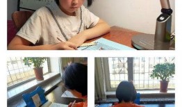 我的课在线观看,轻松掌握知识的新途径