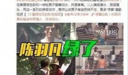 审讯爆料林三宝死因视频,审讯爆料视频揭示惊人内幕