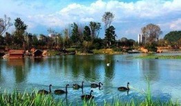 花溪花果园爆料案件最新,最新进展揭秘，疑云重重引关注