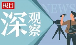 极目新闻爆料怎么撤销,揭秘撤销操作流程及注意事项