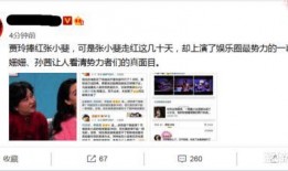 娱乐圈爆料专用语言,揭秘明星背后的惊人真相！