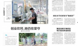 今日应城新闻爆料视频,最新爆料视频揭示惊人事件