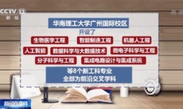 爆料广东猛哥视频大全集,揭秘猛哥传奇人生