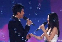 娱乐圈爆料毛宁视频播放,娱乐圈幕后真相大揭秘