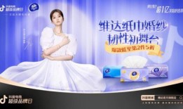 纸巾在线观看.,揭秘纸巾世界的奥秘