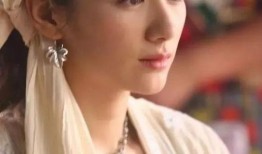 娱乐圈前任爆料小说