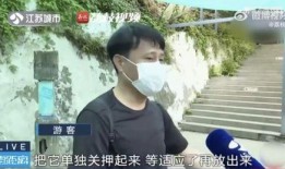 网红霸凌吃瓜男