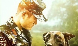 电影警犬赤龙在线观看,忠诚守护，热血追踪
