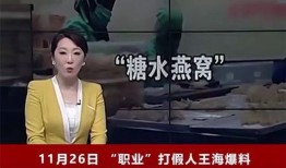 燕窝爆料新闻视频播放,揭秘行业黑幕，消费者权益如何保障？