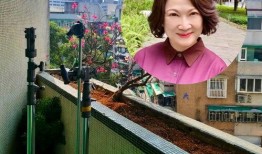 娱乐吃瓜酱台湾