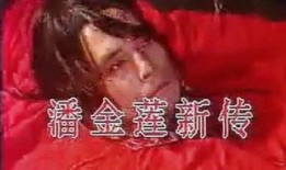 潘金莲新传在线观看,穿越时空的悲情传奇