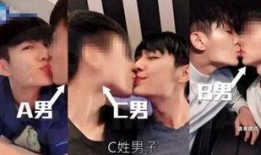 辰亦儒爆料原视频,独家爆料引热议