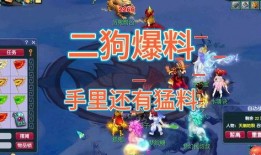 二狗爆料梦幻全集视频,梦幻全集视频背后的惊人真相