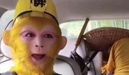 孙悟空爆料视频大全集播放,揭秘猴王传奇背后的故事