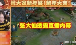 张大仙爆料游戏有哪些视频