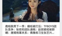 29年前娱乐爆料事件视频,视频曝光背后的真相与争议