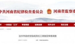 汝州爆料新闻最新消息,重大事件引发社会关注