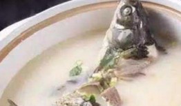 落汤鱼最新爆料视频,揭秘幕后真相，视频内容大揭秘！