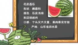 读我心声吃大瓜免费在线阅读,揭秘网络热文背后的故事