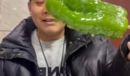 网红张千慧吃瓜视频,揭秘网红圈幕后故事