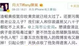 娱乐圈前任爆料小说