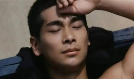 赵文卓最新爆料,娱乐圈背后的惊人真相