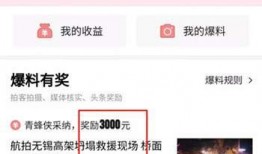 头条今日爆料入口官网,独家爆料，尽在掌握！”