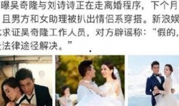 刘诗诗漫画爆料视频在线观看,独家揭秘幕后故事