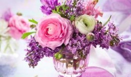 娱乐吃瓜酱一束鲜花,娱乐吃瓜酱一束鲜花背后的故事