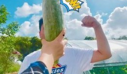 吃娱乐圈的瓜吃到饱,一网打尽明星秘闻，尽享八卦盛宴