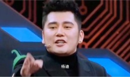 杨迪爆料钱枫视频大全,揭秘娱乐圈背后的故事