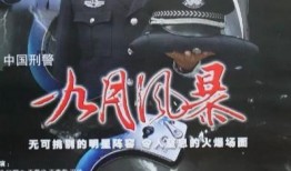 中国刑警在线观看,揭秘警界风云，正义之光闪耀