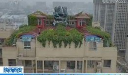 西安花园爆料最新消息,揭秘神秘事件背后的真相