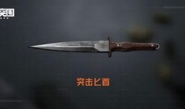 暗区突围最新爆料刀皮肤,刀皮肤全新爆料，神秘外观引玩家热议