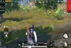 刺激战场全新爆料视频,揭秘神秘新地图与全新玩法！