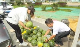 黑科吃瓜网免费观看