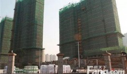 大城最新爆料消息,最新爆料事件深度解析